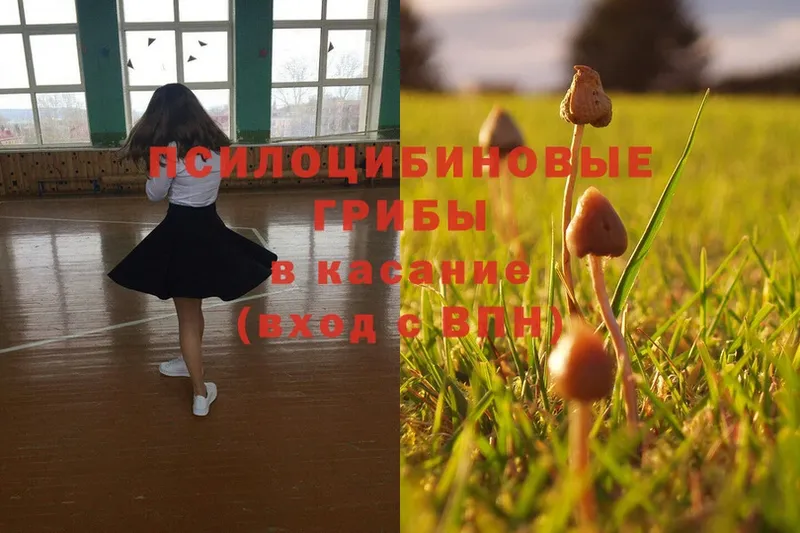 Галлюциногенные грибы MAGIC MUSHROOMS  как найти закладки  Когалым 